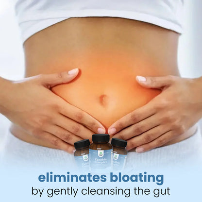 Blivvy Health candida cleanse - for gut health